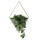 Umbra - Trigg Wall Display - Lights Canada