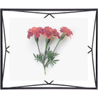 Umbra - Prisma Picture Frame - Lights Canada