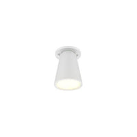 Hartford Outdoor Ceiling Light