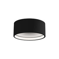 Trenton Outdoor Ceiling Light