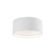 Kuzco - Trenton Outdoor Ceiling Light - Lights Canada