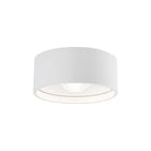 Kuzco - Trenton Outdoor Ceiling Light - Lights Canada