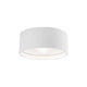 Kuzco - Trenton Outdoor Ceiling Light - Lights Canada
