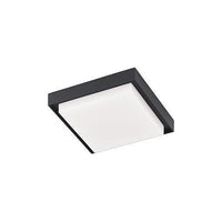 Ridge Outdoor Ceiling Light
