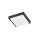 Kuzco - Ridge Outdoor Ceiling Light - Lights Canada