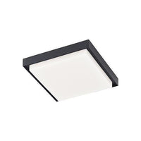 Ridge Outdoor Ceiling Light