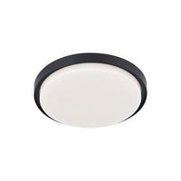 Bailey Outdoor Ceiling Light