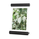Umbra - Scroll Picture Frame - Lights Canada