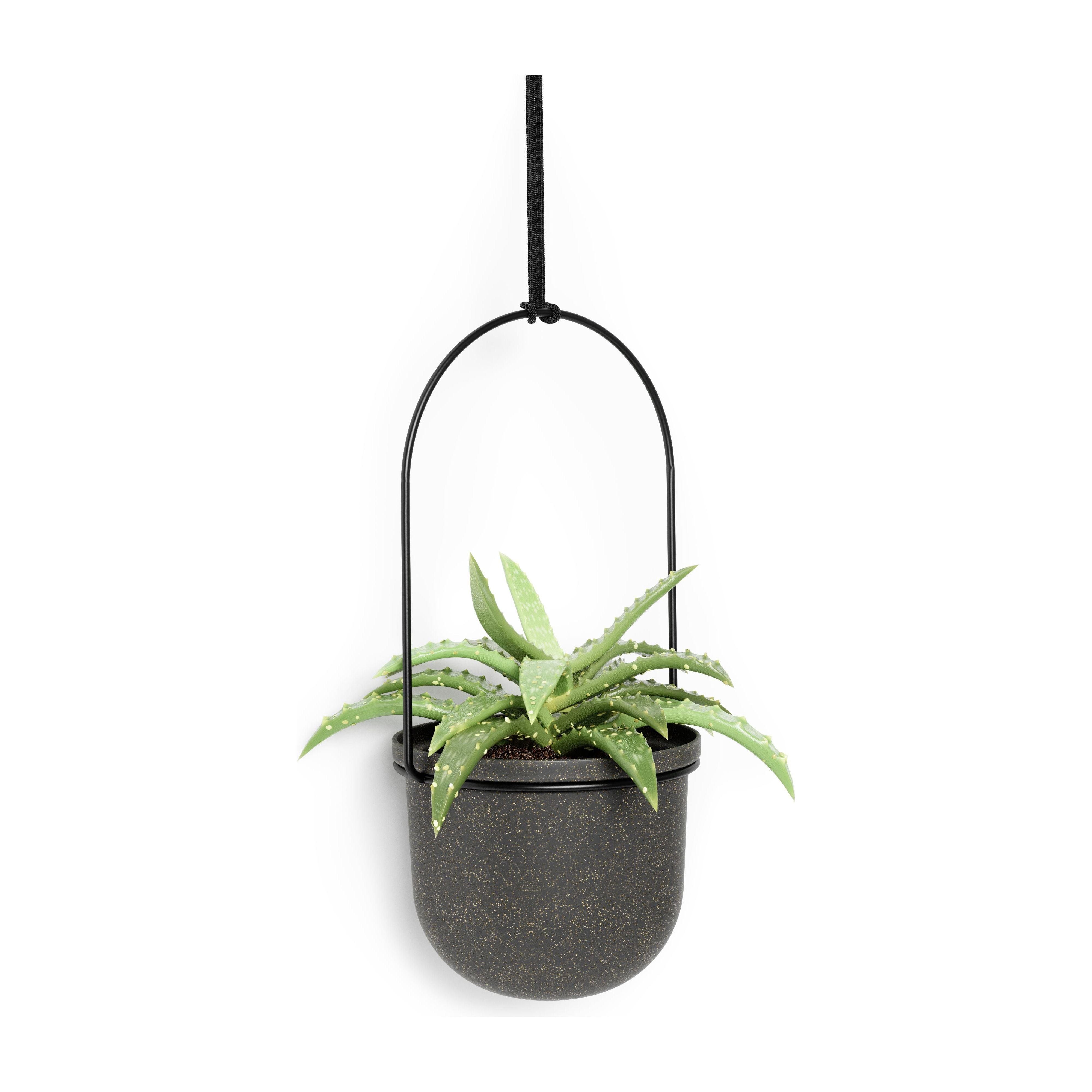 Umbra - Triflora Hanging Planter (Set of 5) - Lights Canada