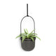 Umbra - Triflora Hanging Planter (Set of 5) - Lights Canada