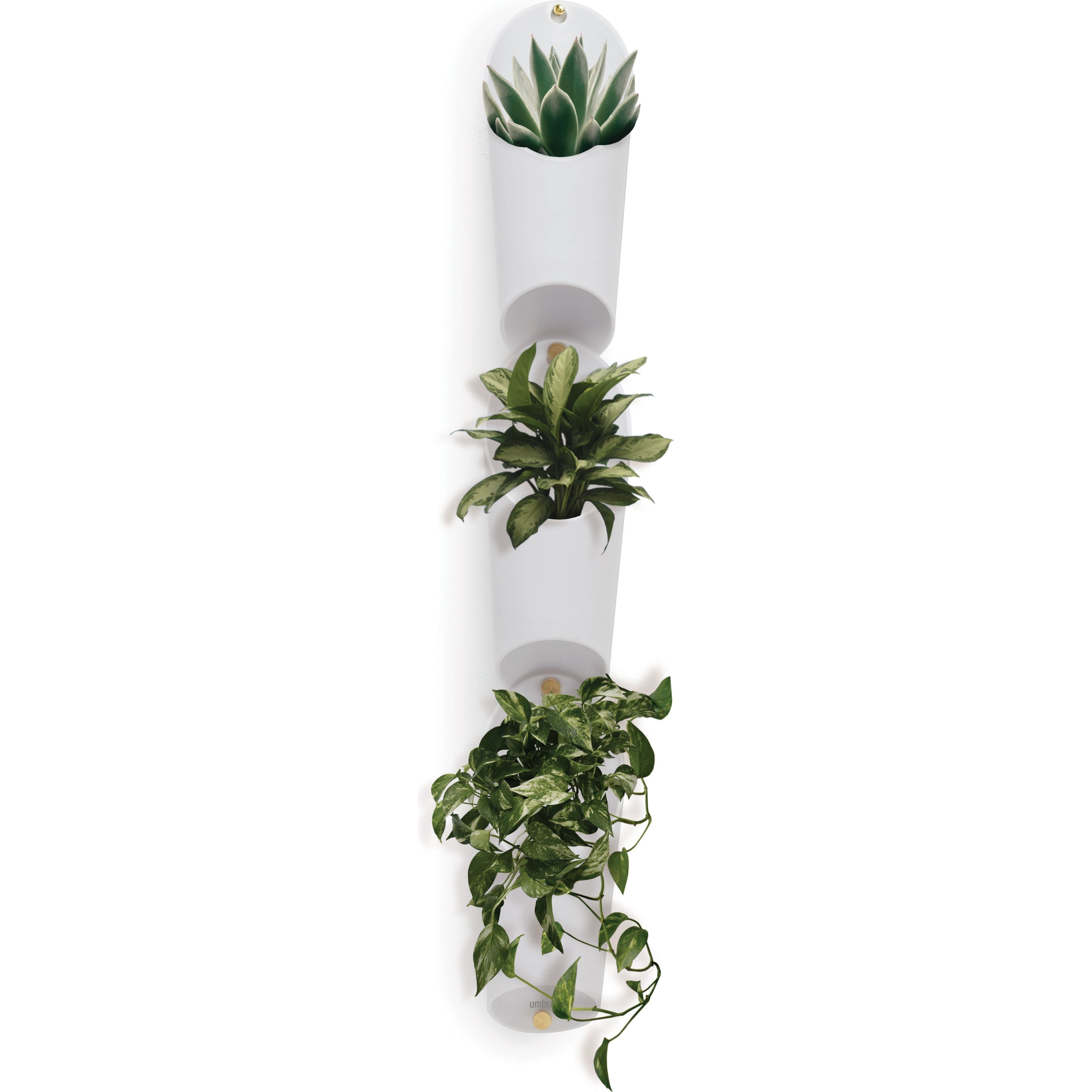 Umbra - Floralink Wall Vessels (Set of 3) - Lights Canada
