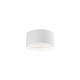 Kuzco - Lucci Flush Mount - Lights Canada