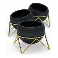 Potsy Planter (Set of 3)