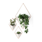 Umbra - Trigg Wall Display (Set of 2) - Lights Canada
