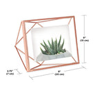 Umbra - Prisma Picture Frame - Lights Canada