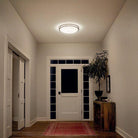Kichler - Kichler Avon Flush Mount Light - Lights Canada