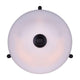 Canarm - Rue Pendant - Lights Canada