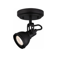 Canarm Polo Flush Mount