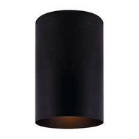 Canarm Agna Flush Mount