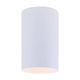 Canarm - Canarm Agna Flush Mount - Lights Canada