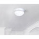 Canarm - Fmount Flush Mount - Lights Canada