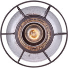 Canarm - Potter Flush Mount - Lights Canada