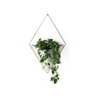 Umbra - Trigg Wall Display - Lights Canada