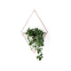 Umbra - Trigg Wall Display - Lights Canada