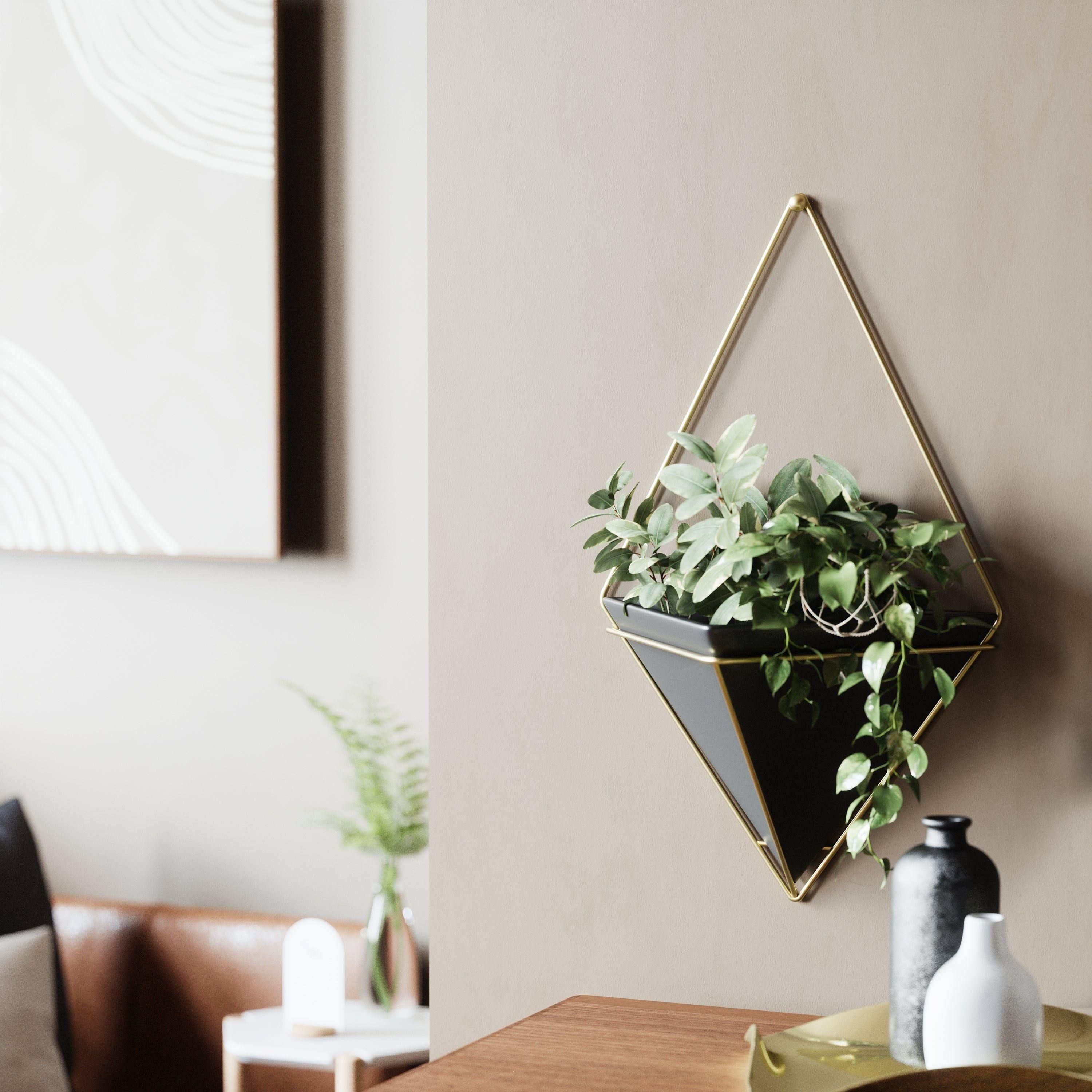 Umbra - Trigg Wall Display - Lights Canada