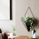 Umbra - Trigg Wall Display - Lights Canada