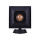 Canarm - Fieldhouse Outdoor Wall Light - Lights Canada