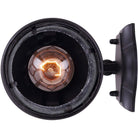 Canarm - Outdoor Wall Light - Lights Canada
