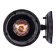 Canarm - Atlanta Outdoor Wall Light - Lights Canada