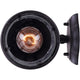 Canarm - Outdoor Wall Light - Lights Canada