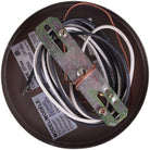 Canarm - Margo Mini Pendant - Lights Canada