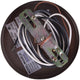 Canarm - Margo Mini Pendant - Lights Canada