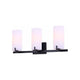Canarm - Canarm Bishop Vanity Light - Lights Canada