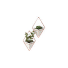Umbra - Trigg Wall Display (Set of 2) - Lights Canada