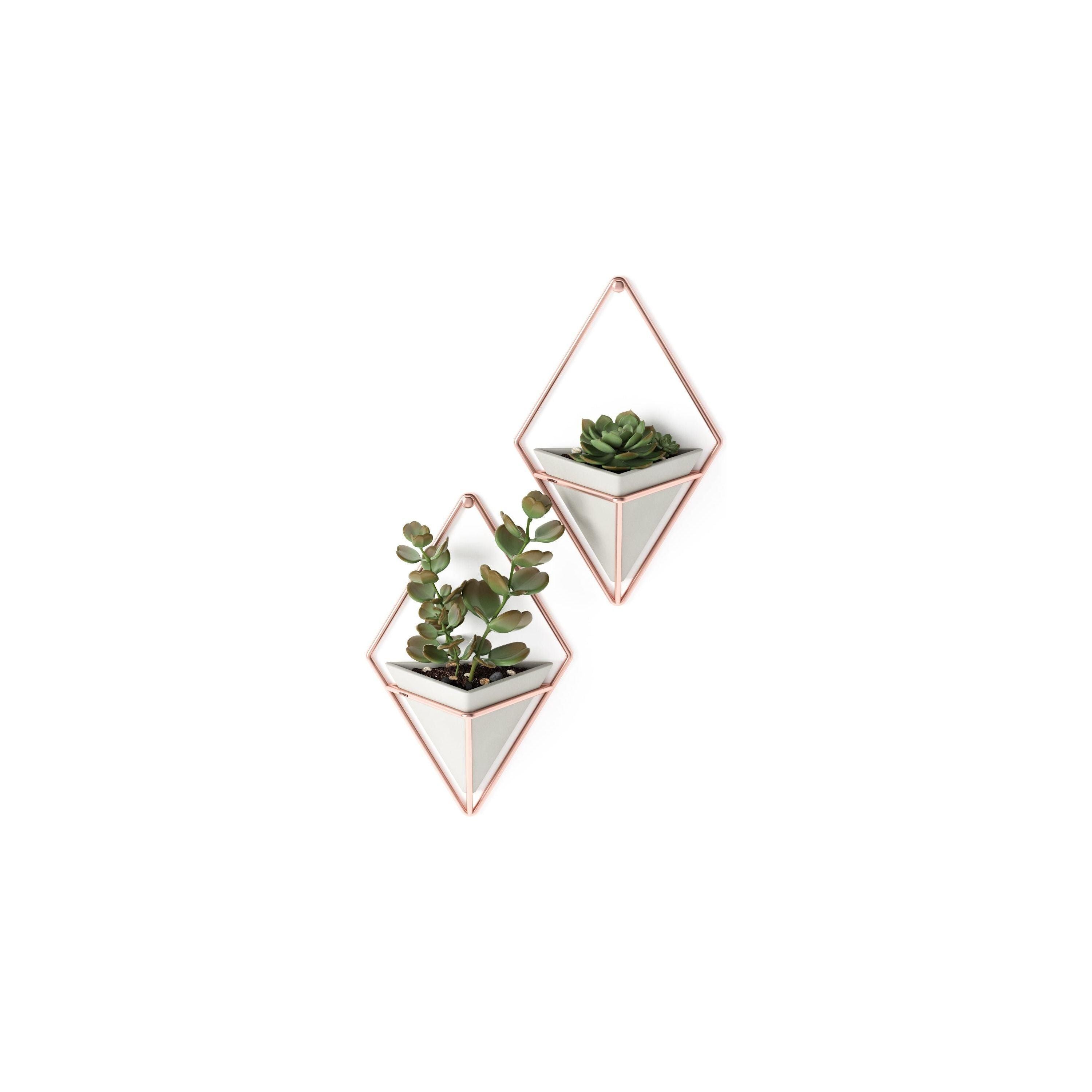 Umbra - Trigg Wall Display (Set of 2) - Lights Canada