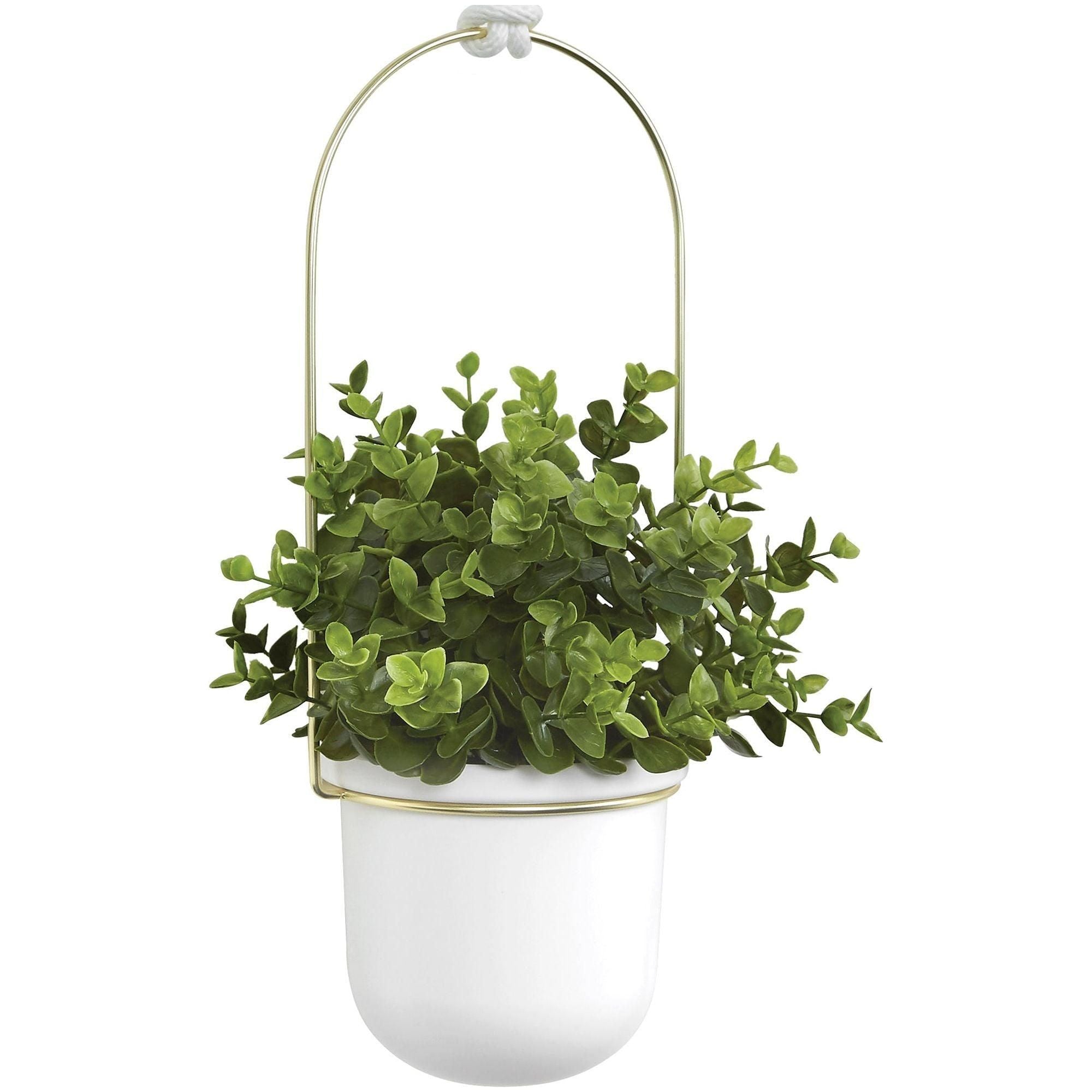 Umbra - Triflora Hanging Planter - Lights Canada