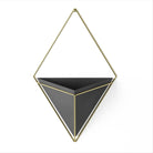 Umbra - Trigg Wall Display - Lights Canada