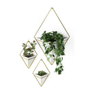 Umbra - Trigg Wall Display - Lights Canada