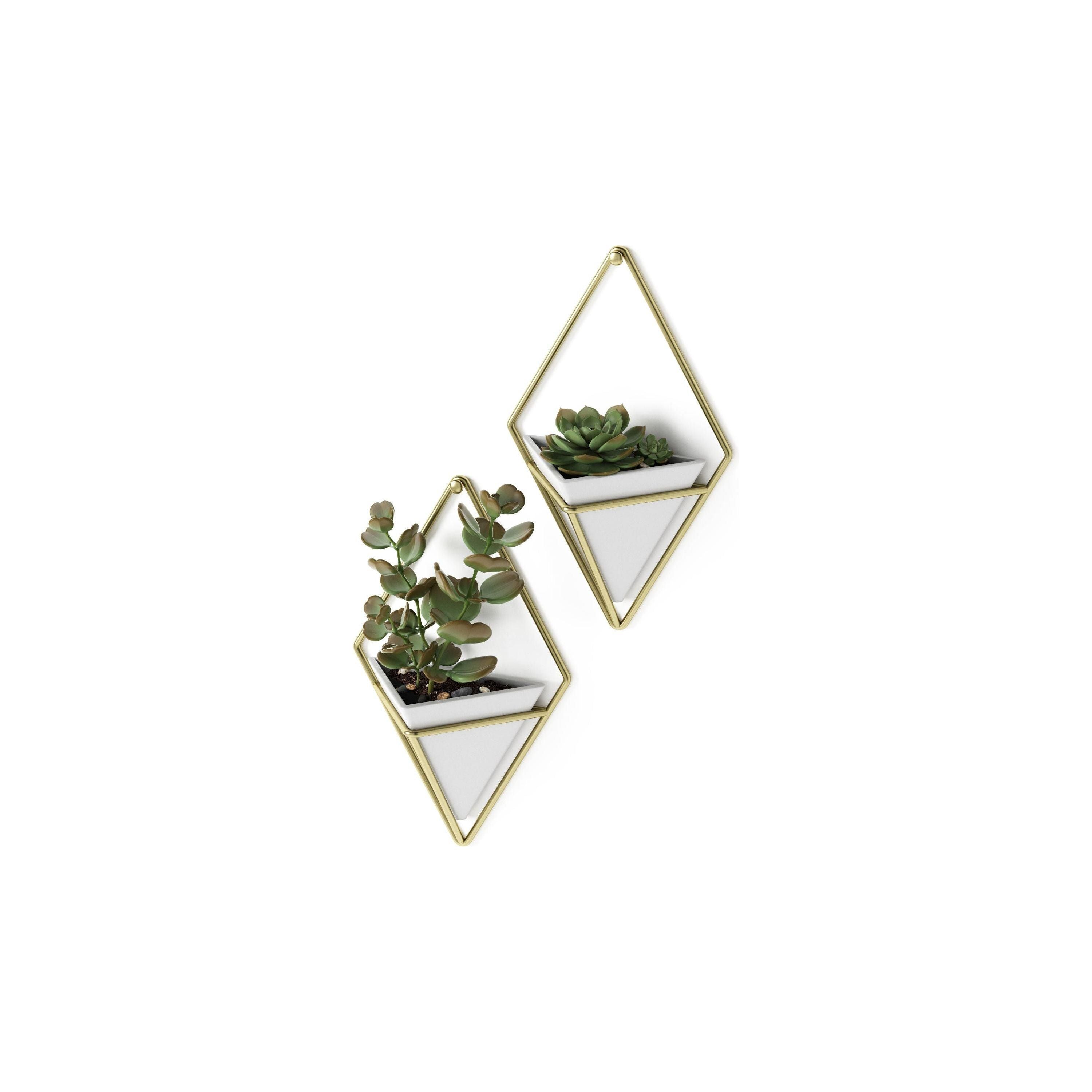 Umbra - Trigg Wall Display (Set of 2) - Lights Canada