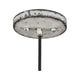 Acclaim - Iris Pendant - Lights Canada