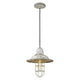 Acclaim - Iris Pendant - Lights Canada