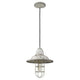 Acclaim - Iris Pendant - Lights Canada