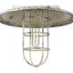 Acclaim - Iris Pendant - Lights Canada