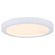 Canarm - Canarm 15 inch LED Disk Flush Mount - Lights Canada
