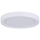 Canarm - Canarm 15 inch LED Disk Flush Mount - Lights Canada