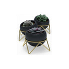 Umbra - Potsy Planter (Set of 3) - Lights Canada